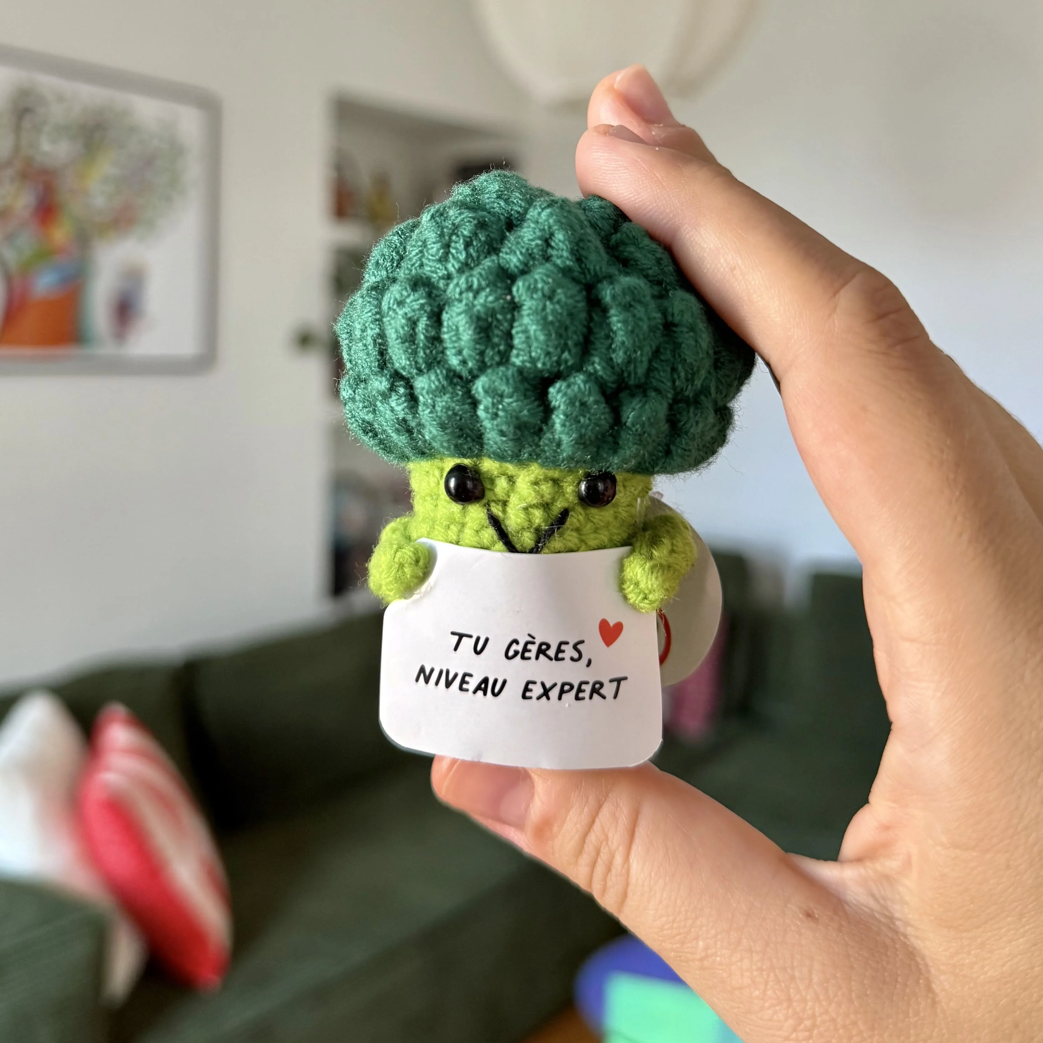 Brocoli - Tu gères, niveau expert - Image 4