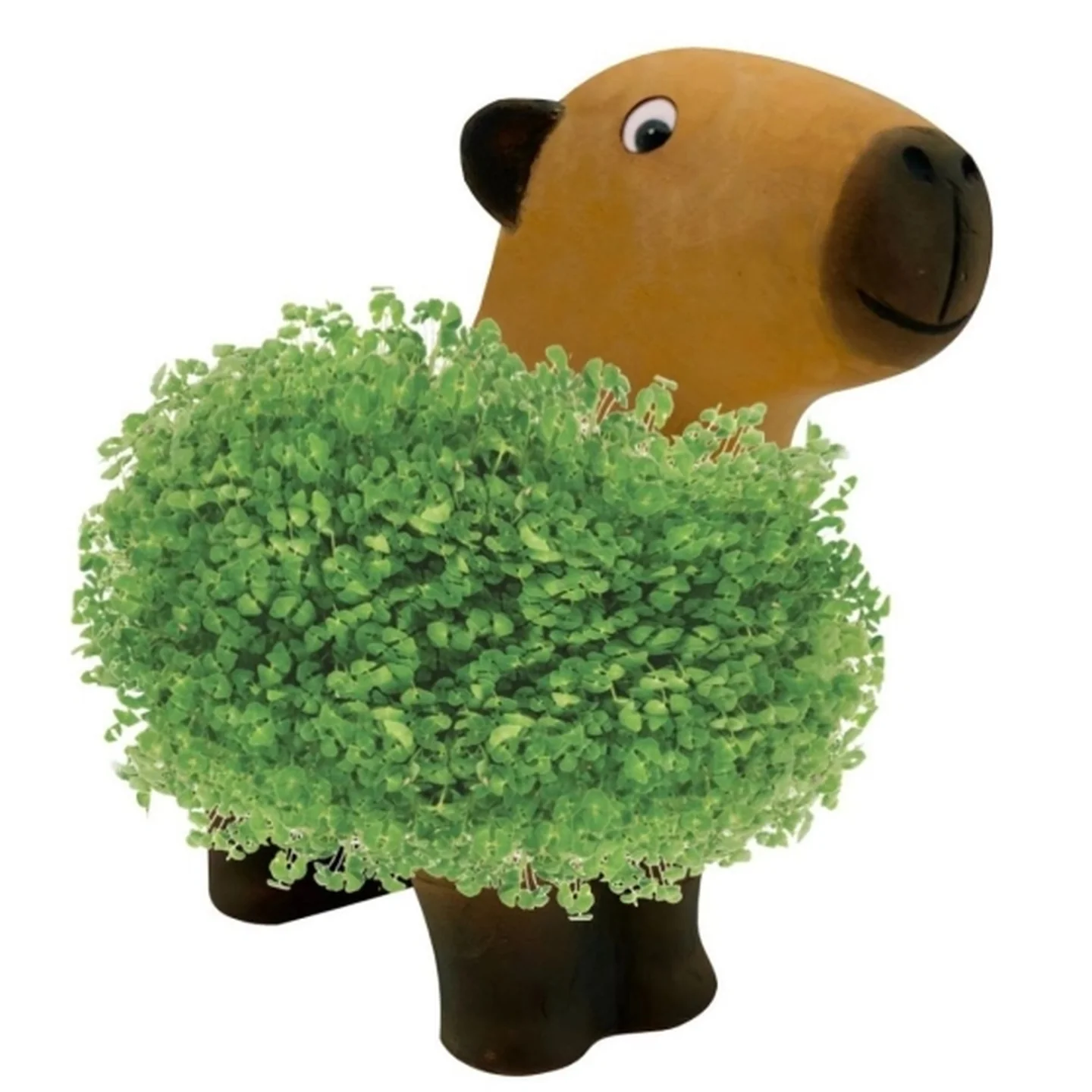 Capybara à faire pousser - Image 2