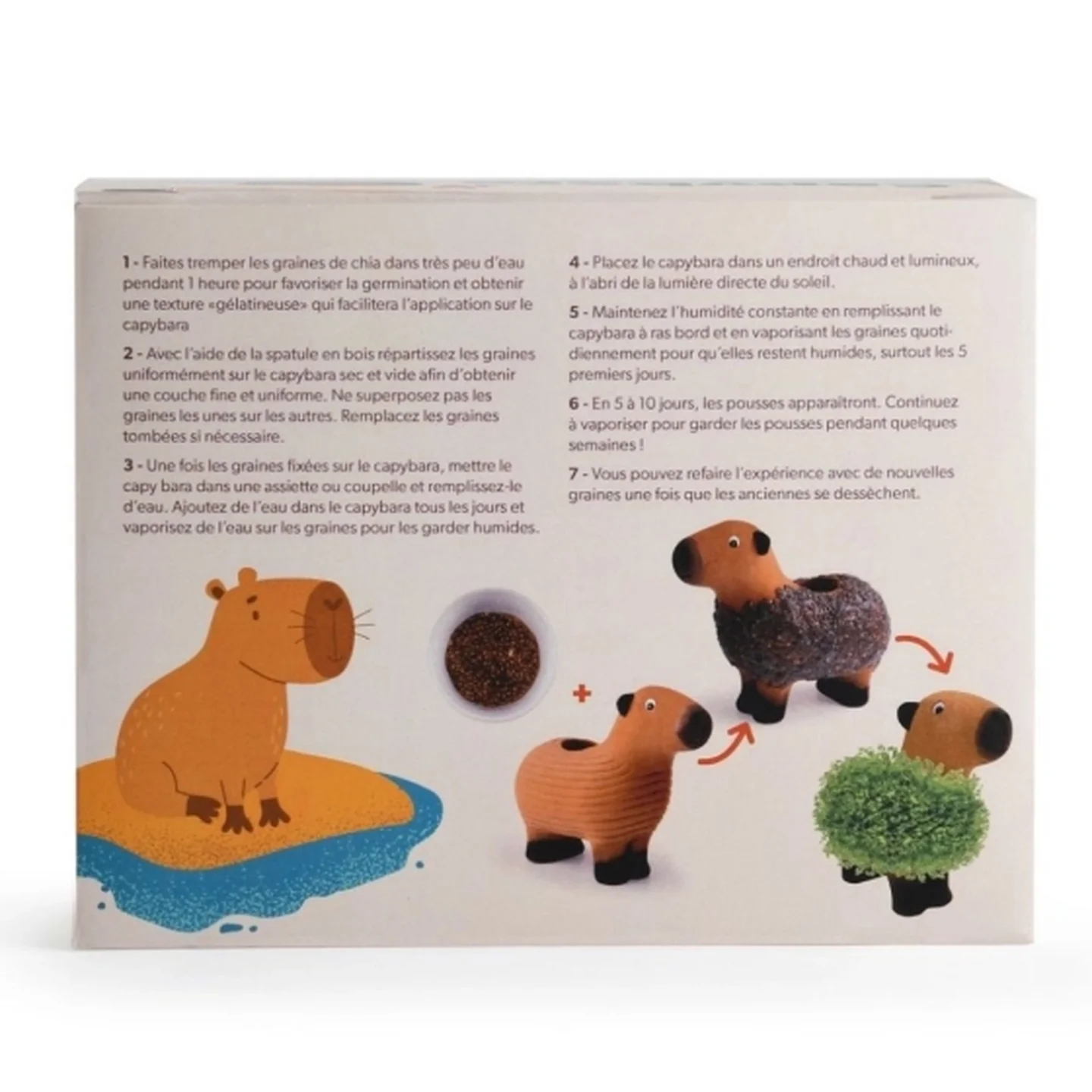 Capybara à faire pousser - Image 3