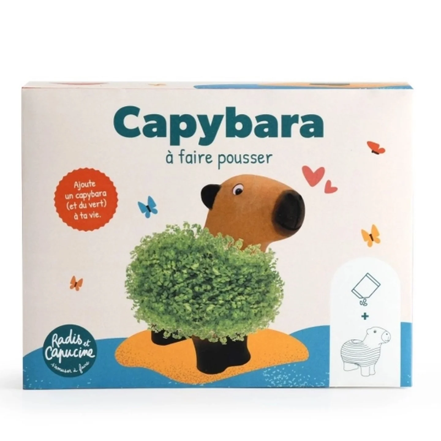 Capybara à faire pousser - Image 4