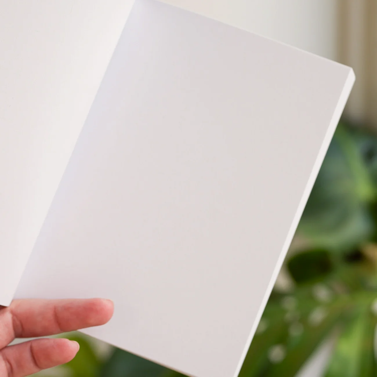 Carnet - Pas de culotte, les avantages - Image 3