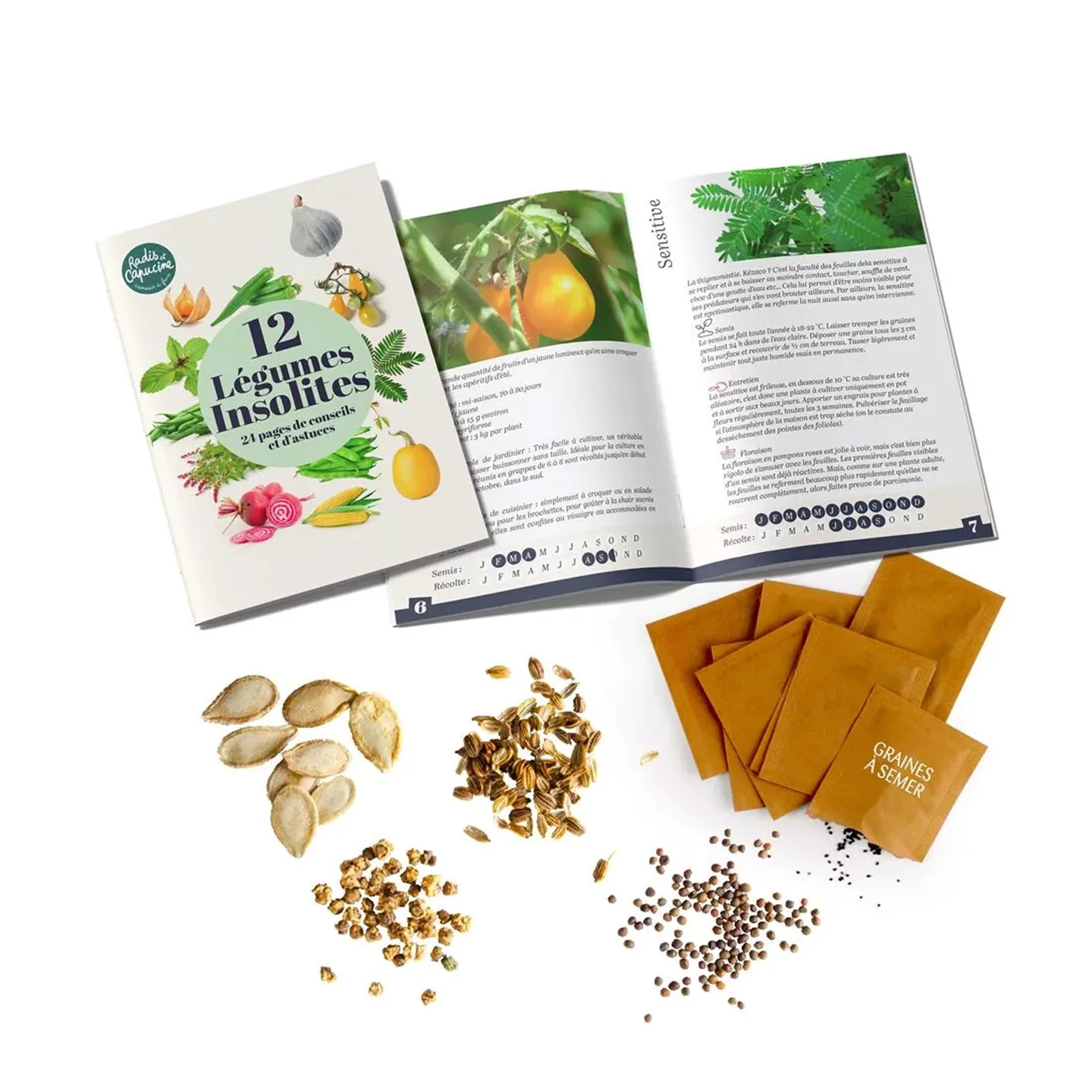 Coffret 12 sachets graines légumes insolites - Image 3