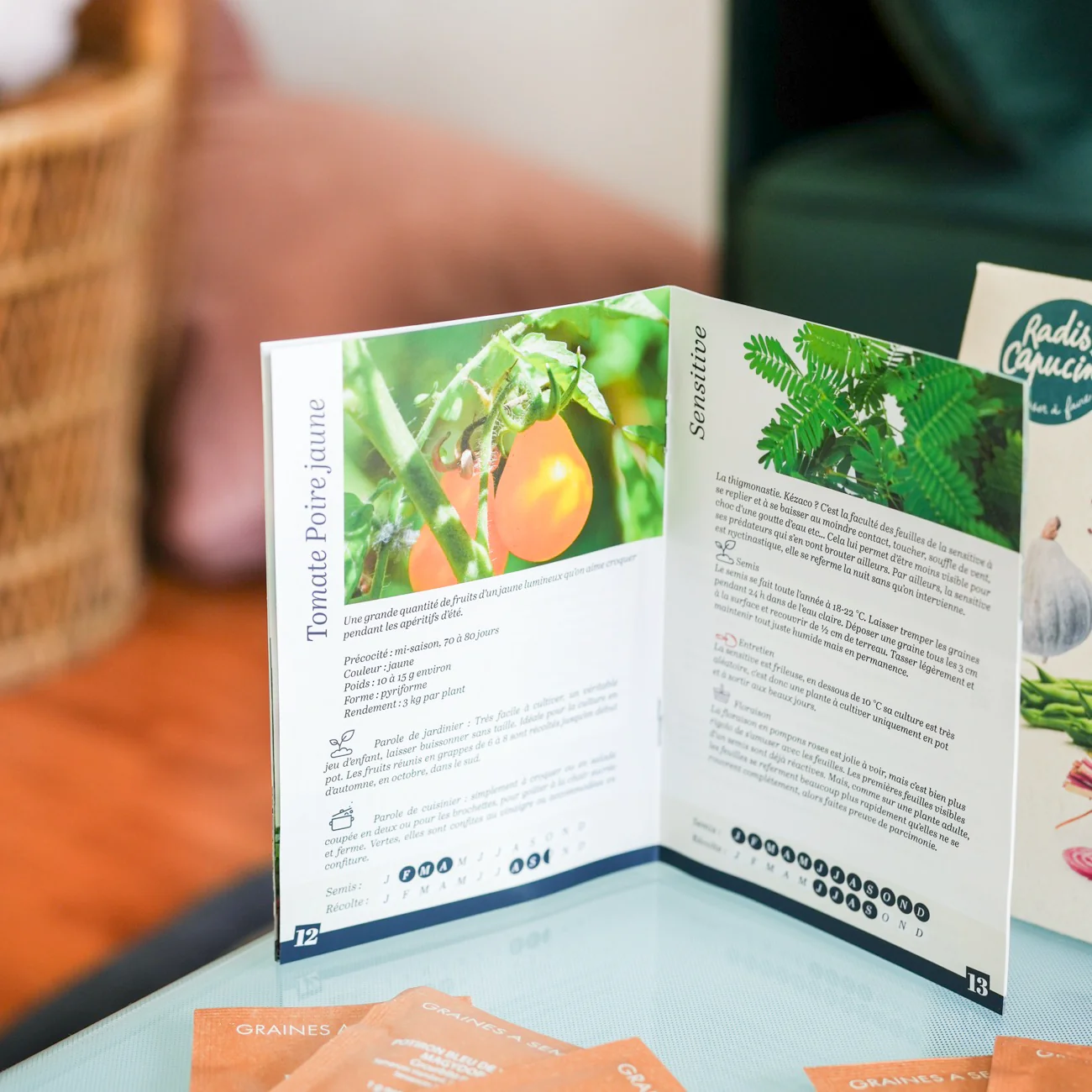 Coffret 12 sachets graines légumes insolites - Image 6