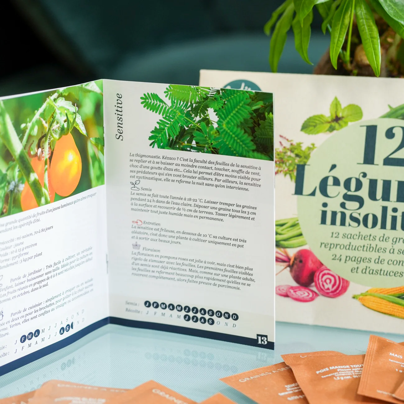 Coffret 12 sachets graines légumes insolites - Image 7