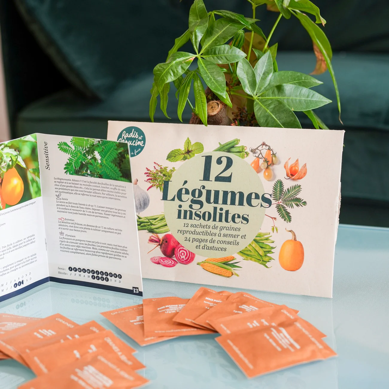 Coffret 12 sachets graines légumes insolites - Image 8