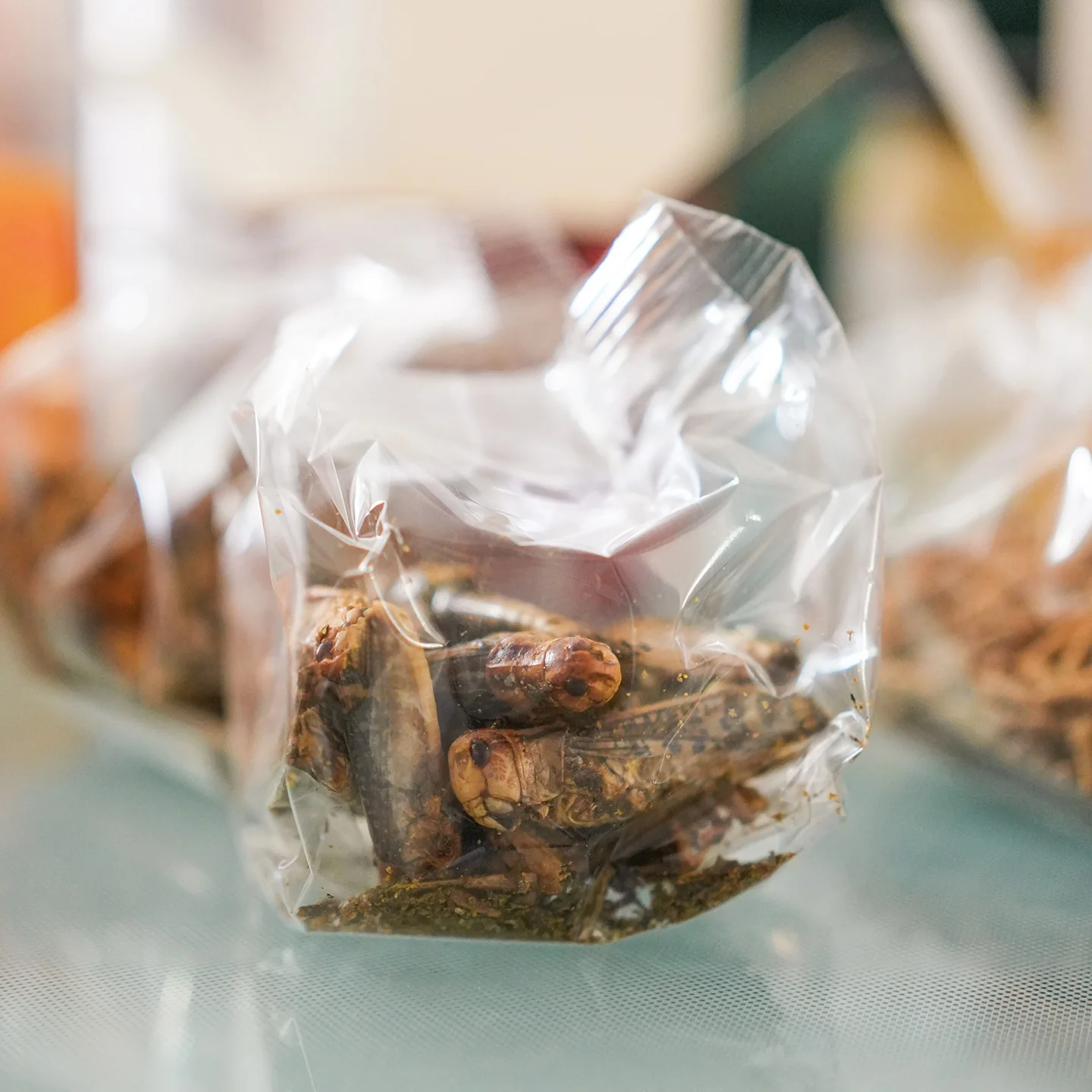Coffret d’insectes pour l’apéro - Image 6