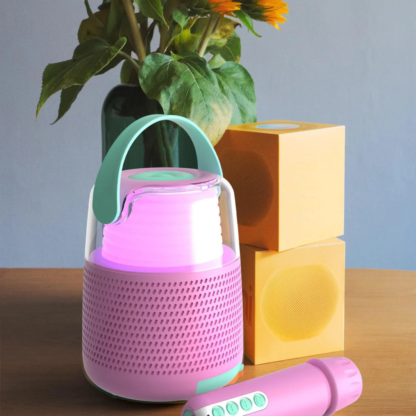 Enceinte & Karaoké
