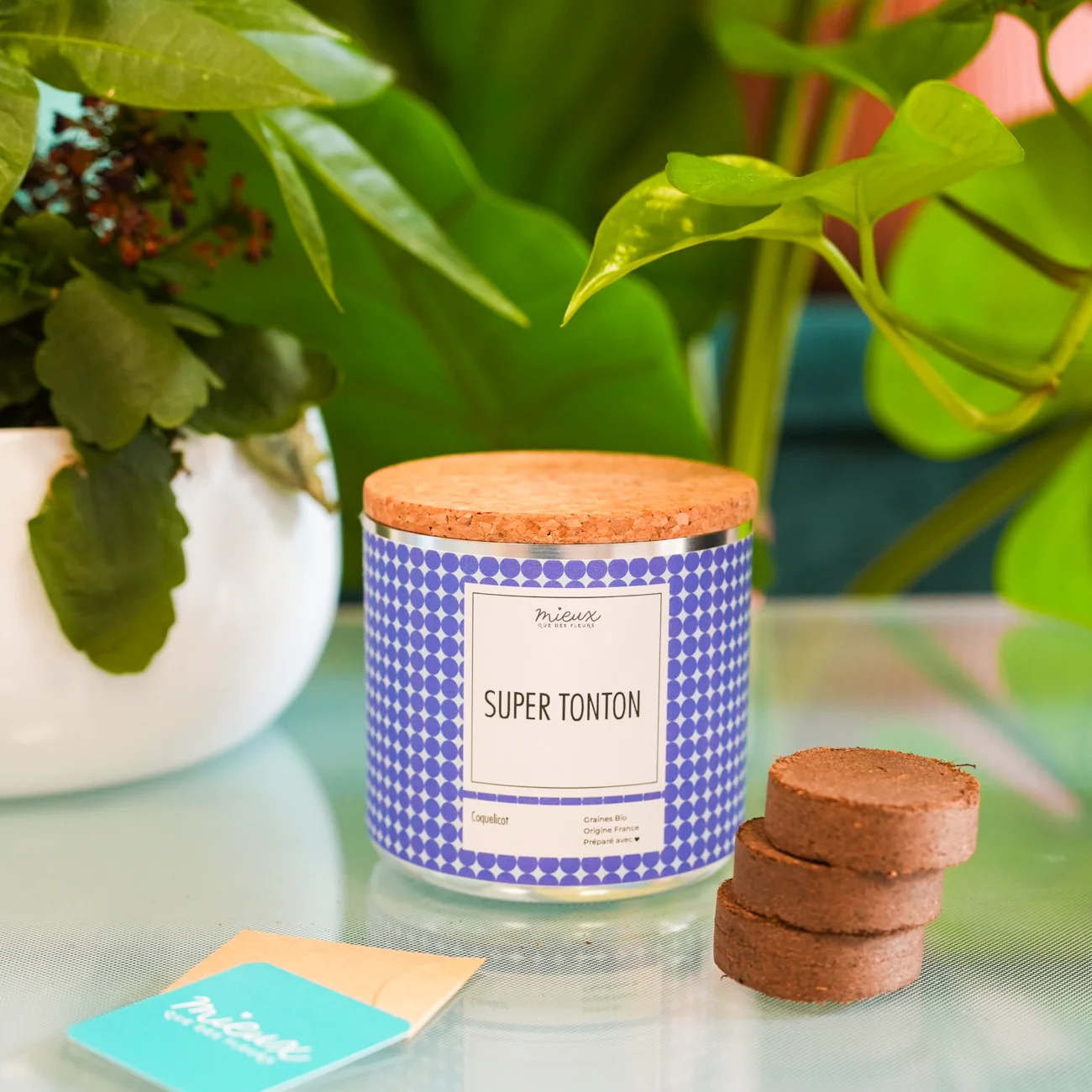 Kit à planter avec message - Famille et Amis - Image 12