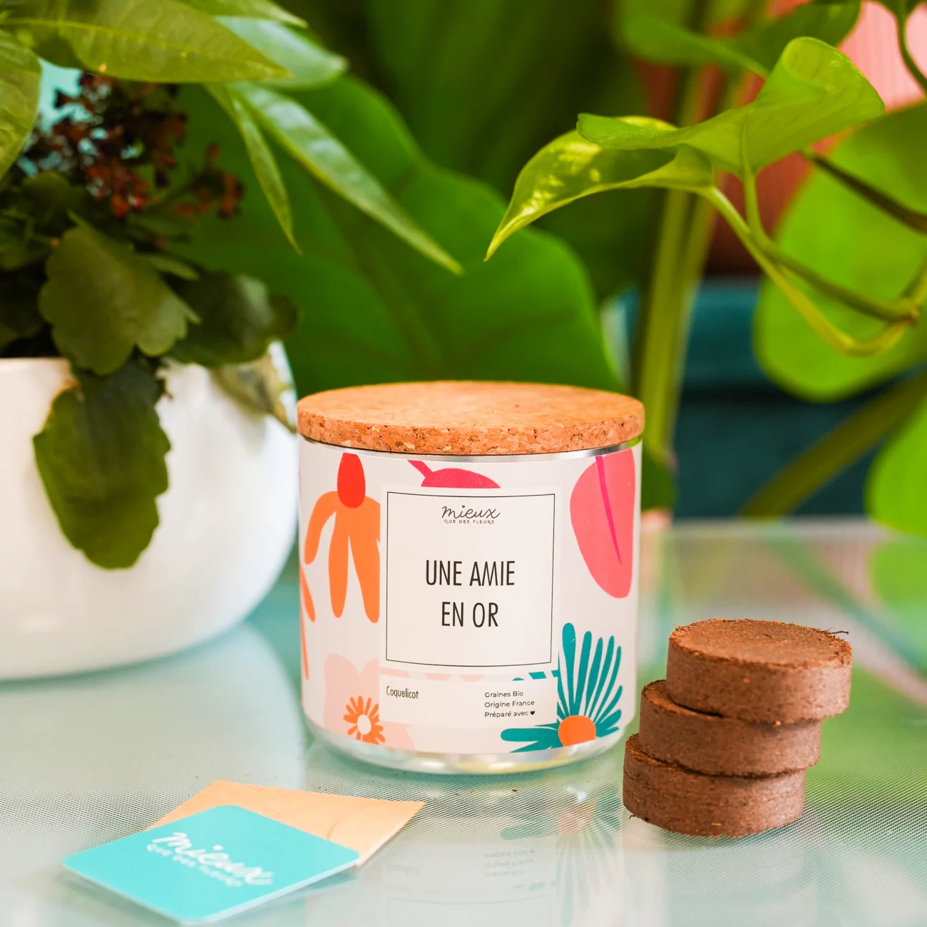Kit à planter avec message - Famille et Amis - Image 13
