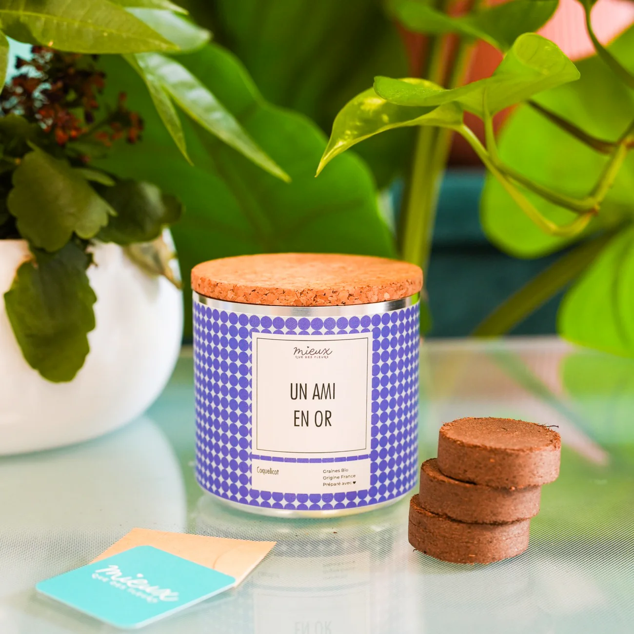 Kit à planter avec message - Famille et Amis - Image 14