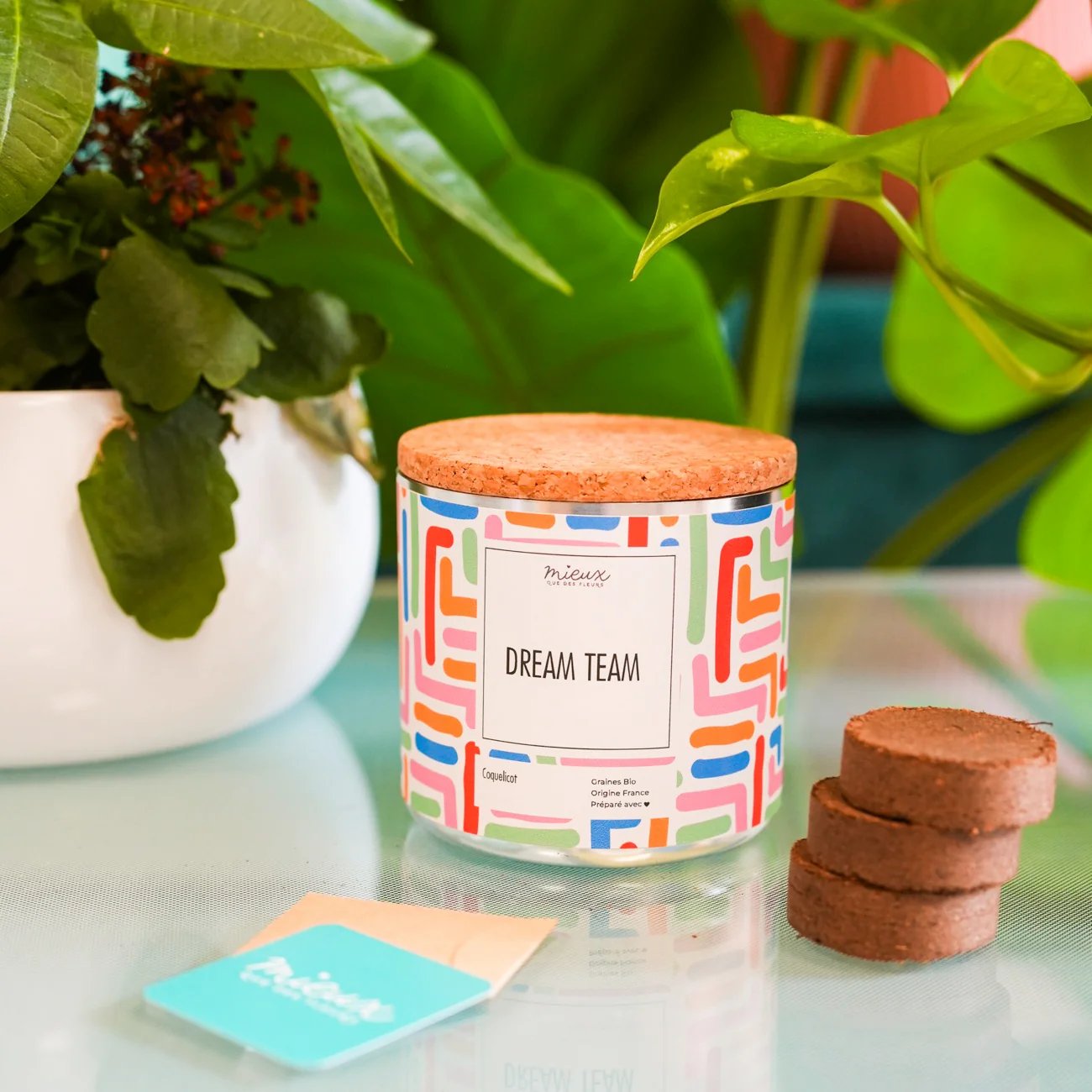 Kit à planter avec message - Famille et Amis - Image 17