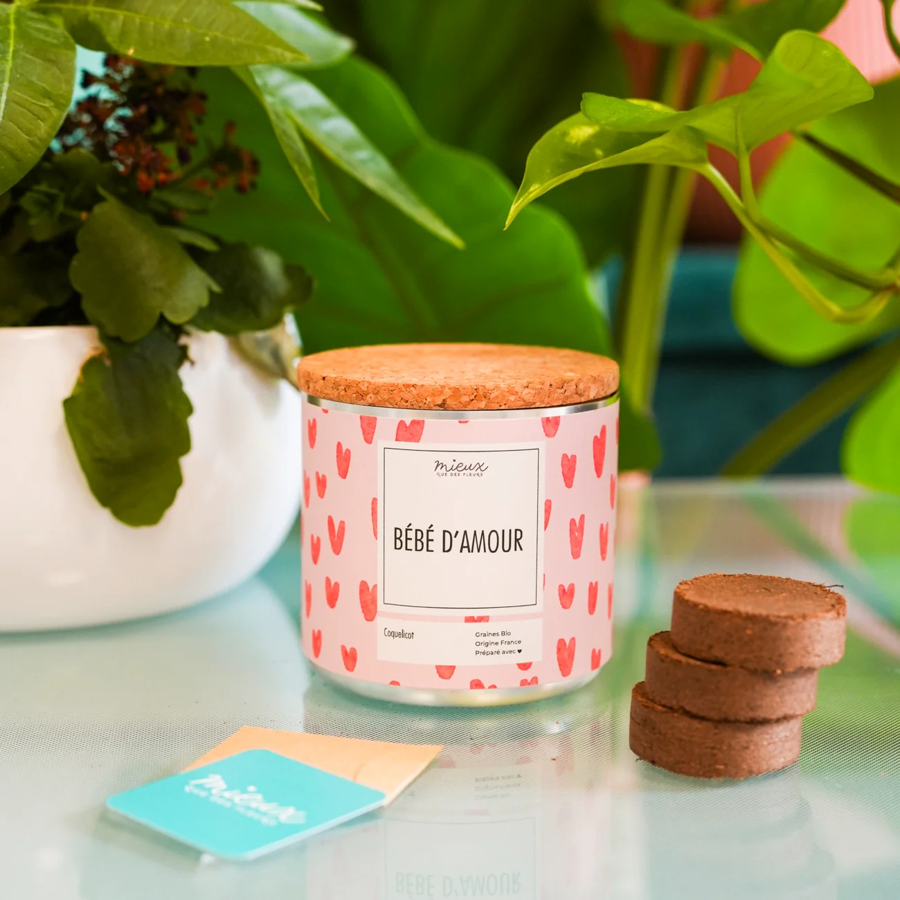 Kit à planter avec message - Famille et Amis - Image 18