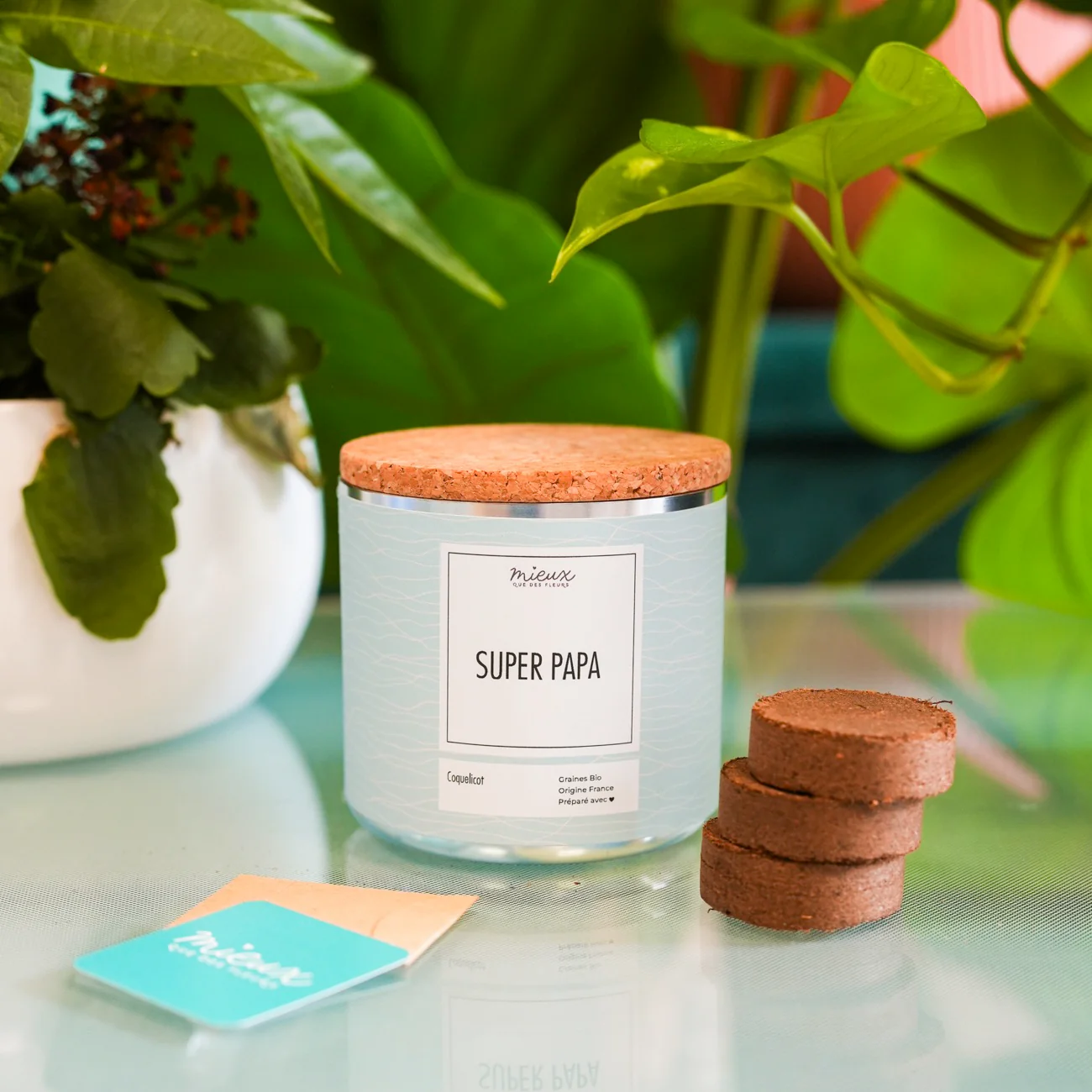 Kit à planter avec message - Famille et Amis - Image 19