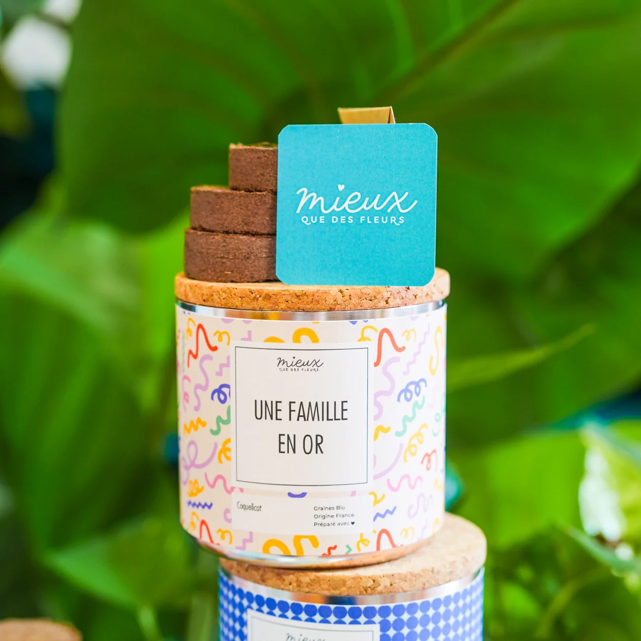 Kit à planter avec message - Famille et Amis - Image 9