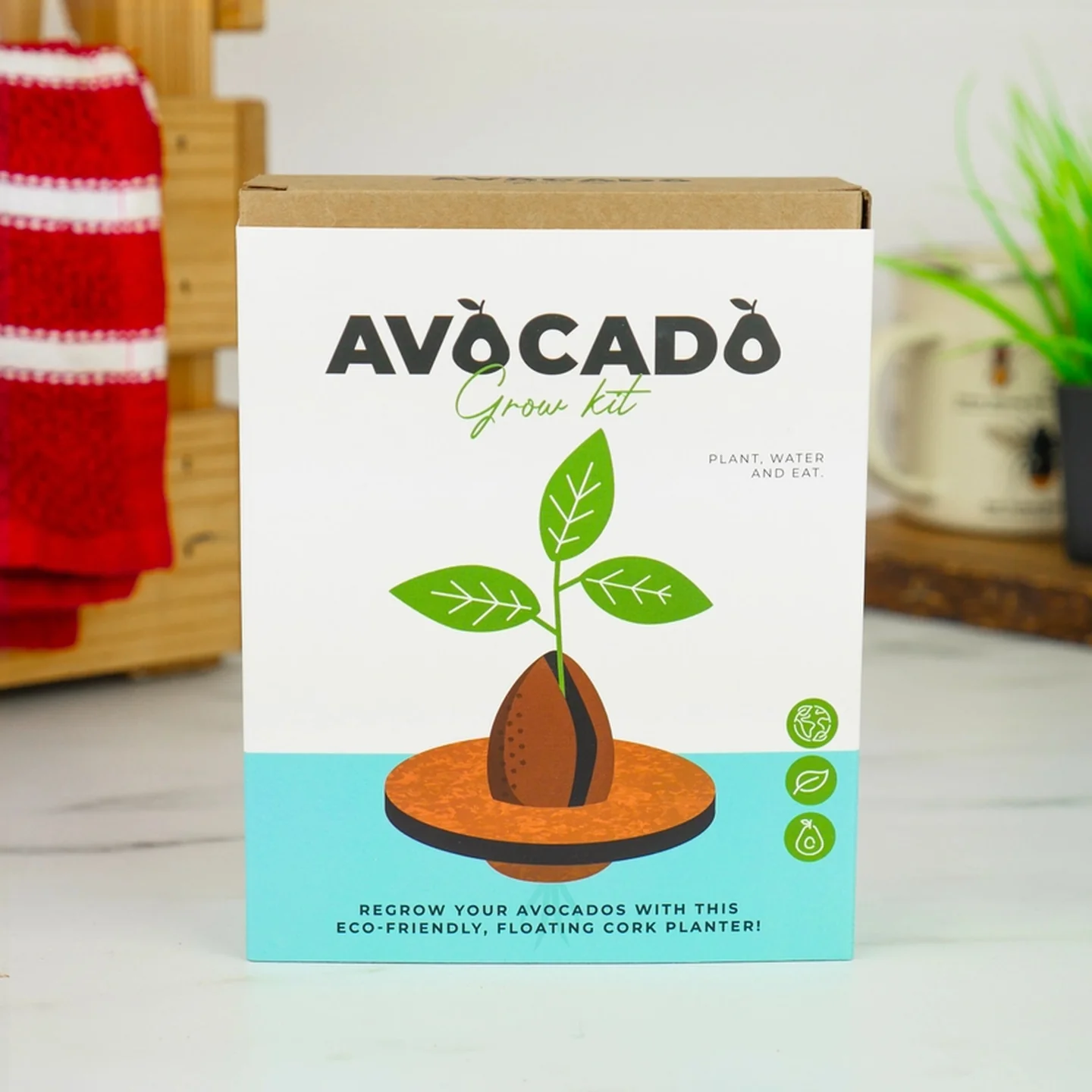 Kit de culture d'avocat - Image 3