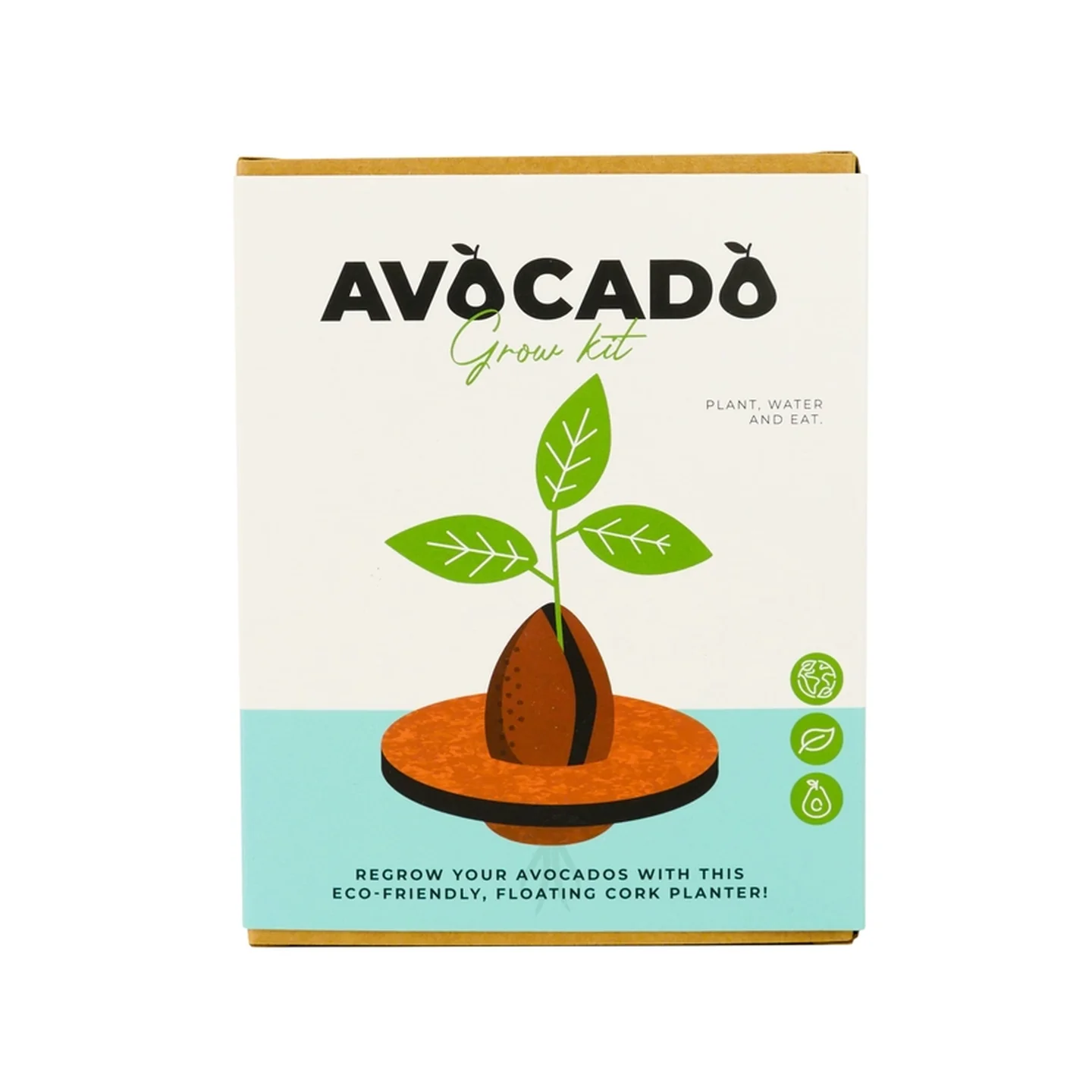 Kit de culture d'avocat - Image 4