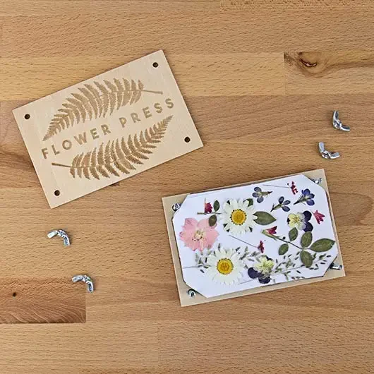 Kit DIY fleurs séchées - Image 3