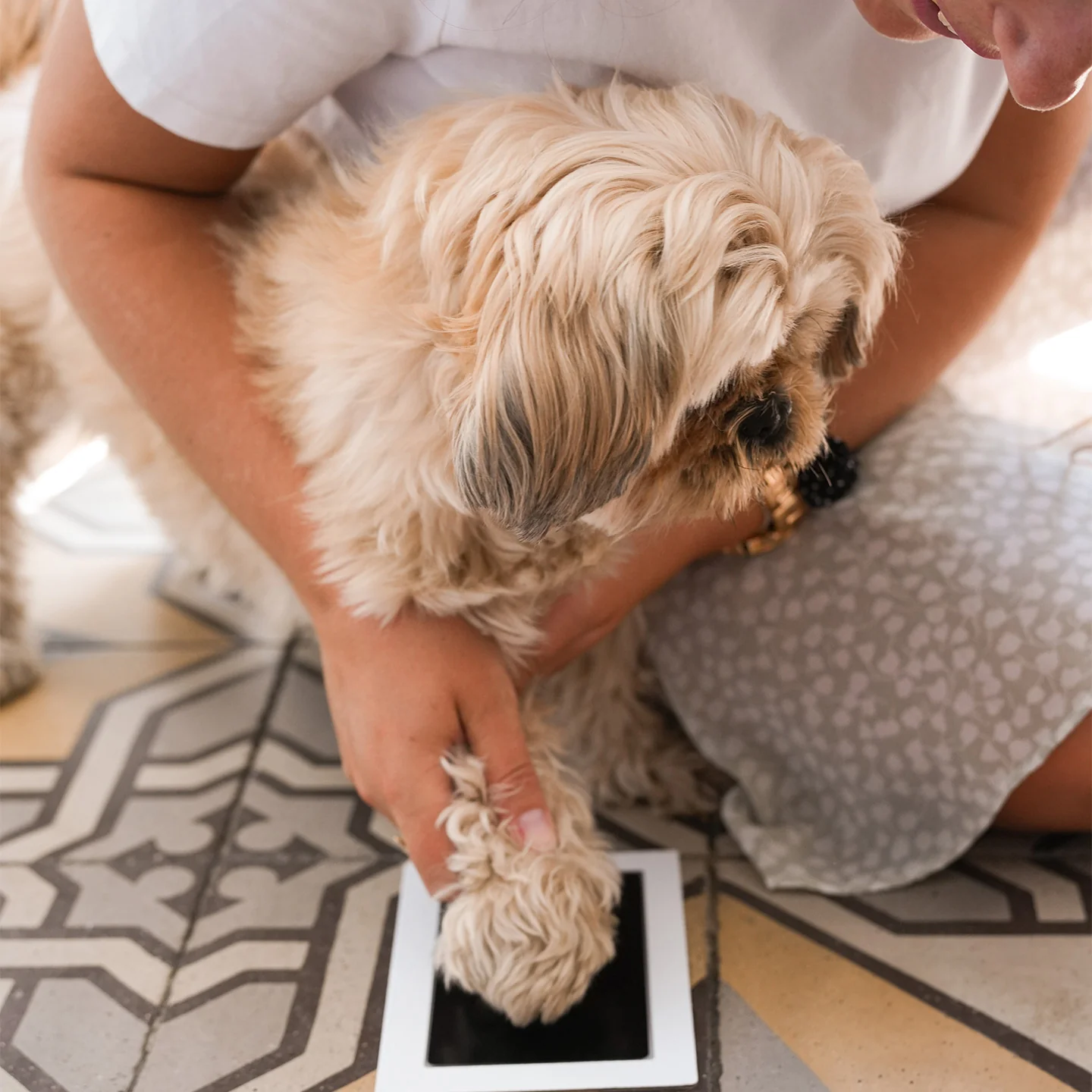 Kit d'empreinte chien et chat - Image 5