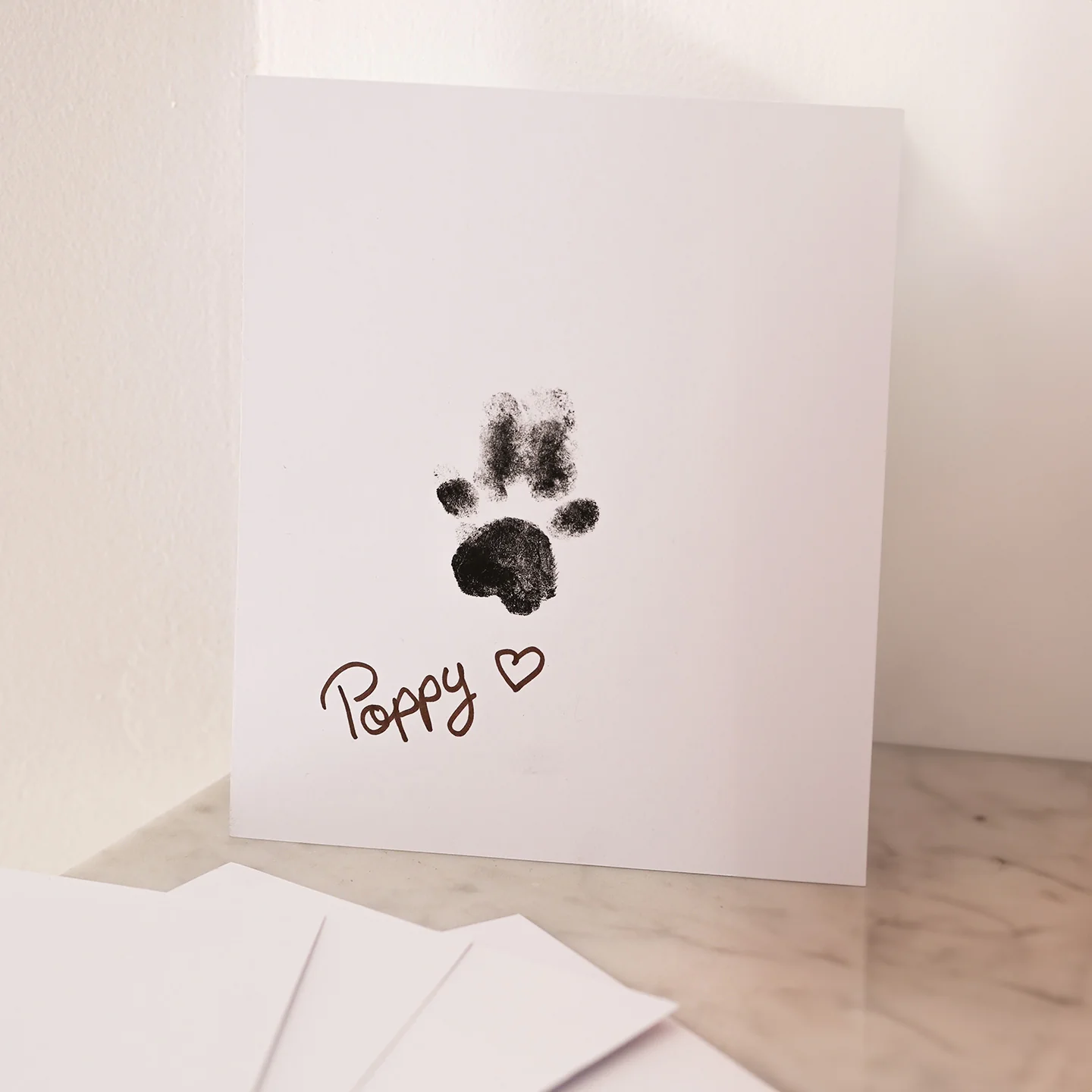 Kit d'empreinte chien et chat - Image 6