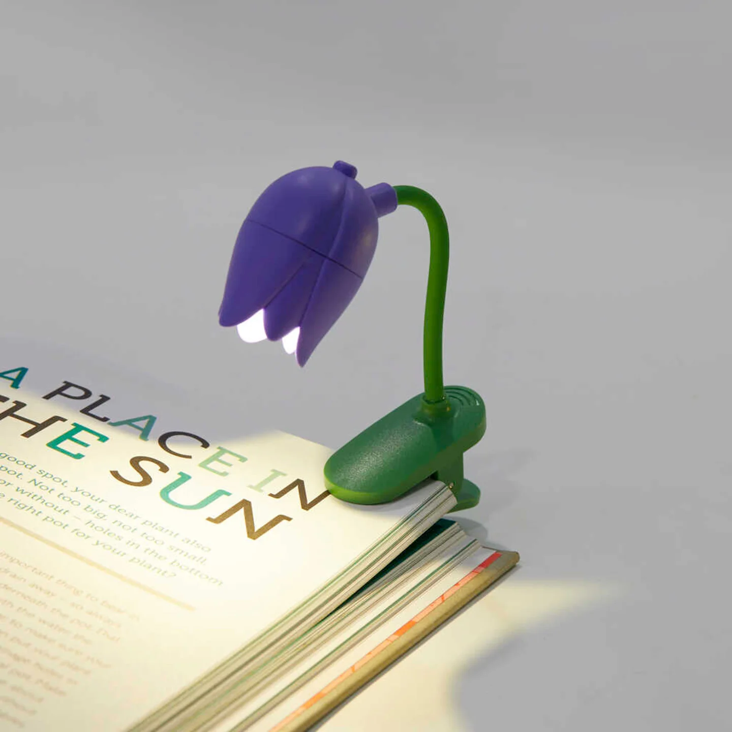 Miniature 2
