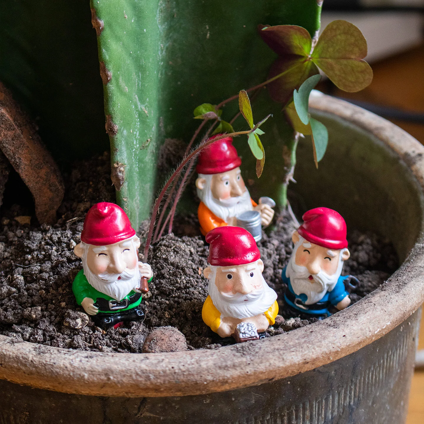 Nains de pot de plante