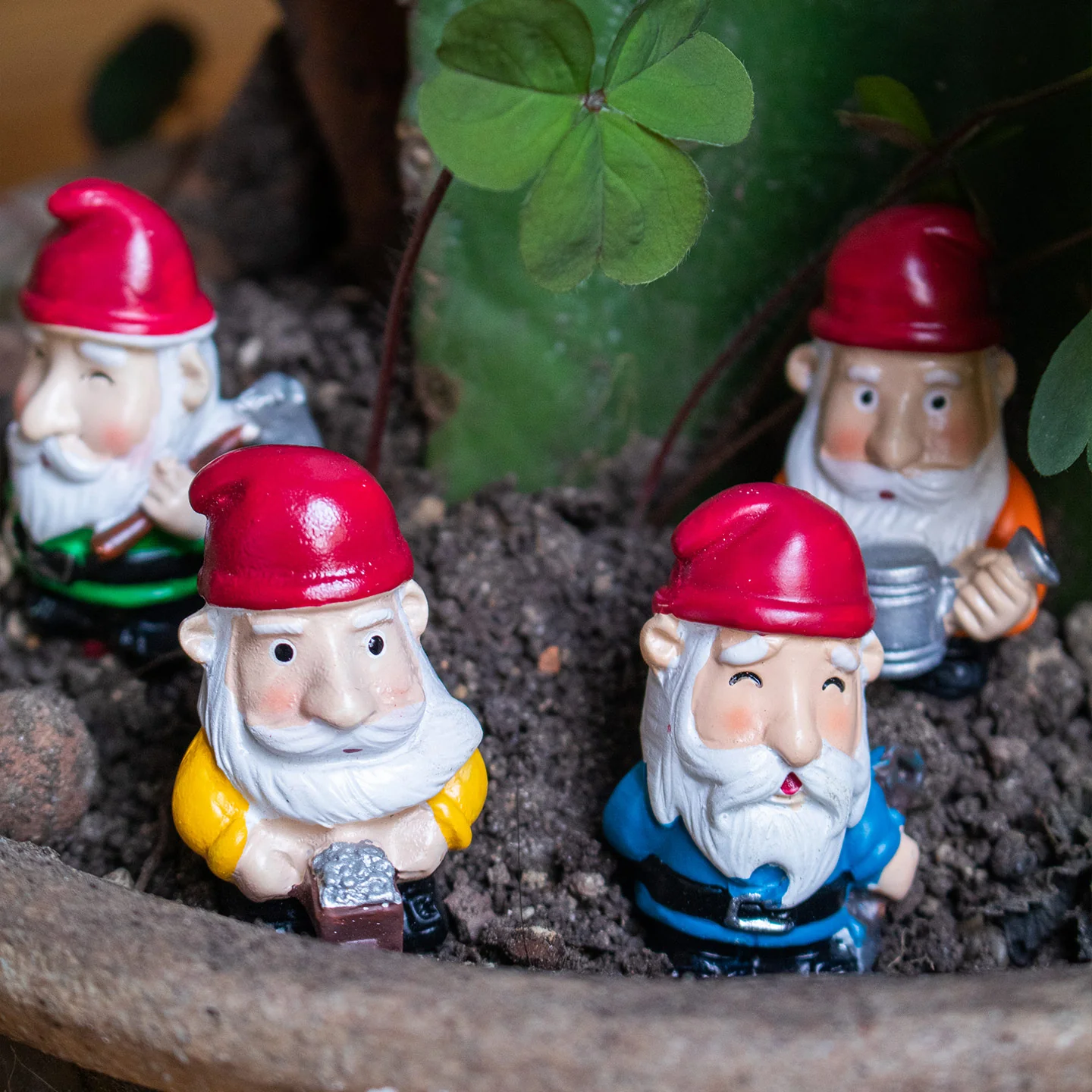 Nains de pot de plante - Image 6