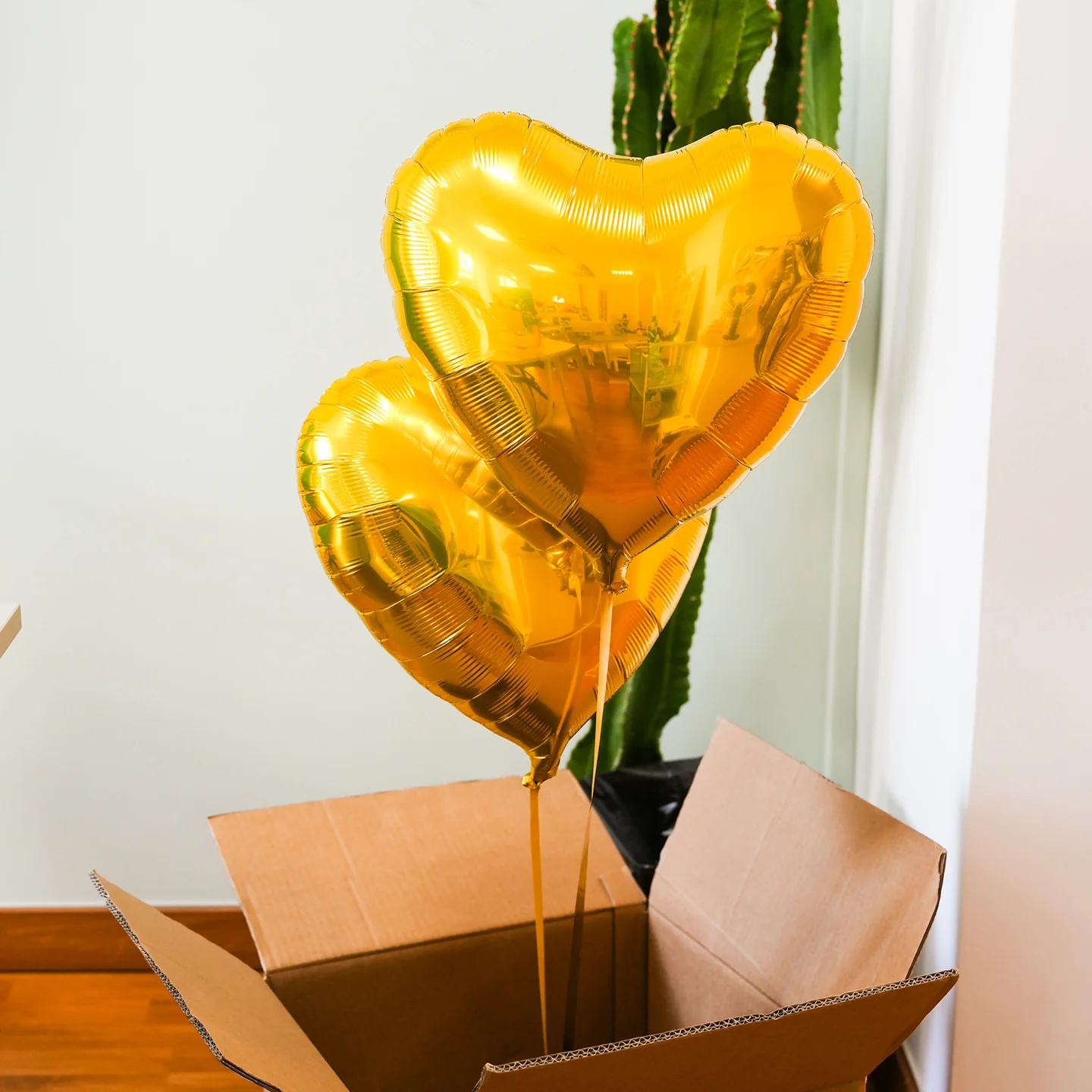 Box 2 Ballons Coeurs - Image 3