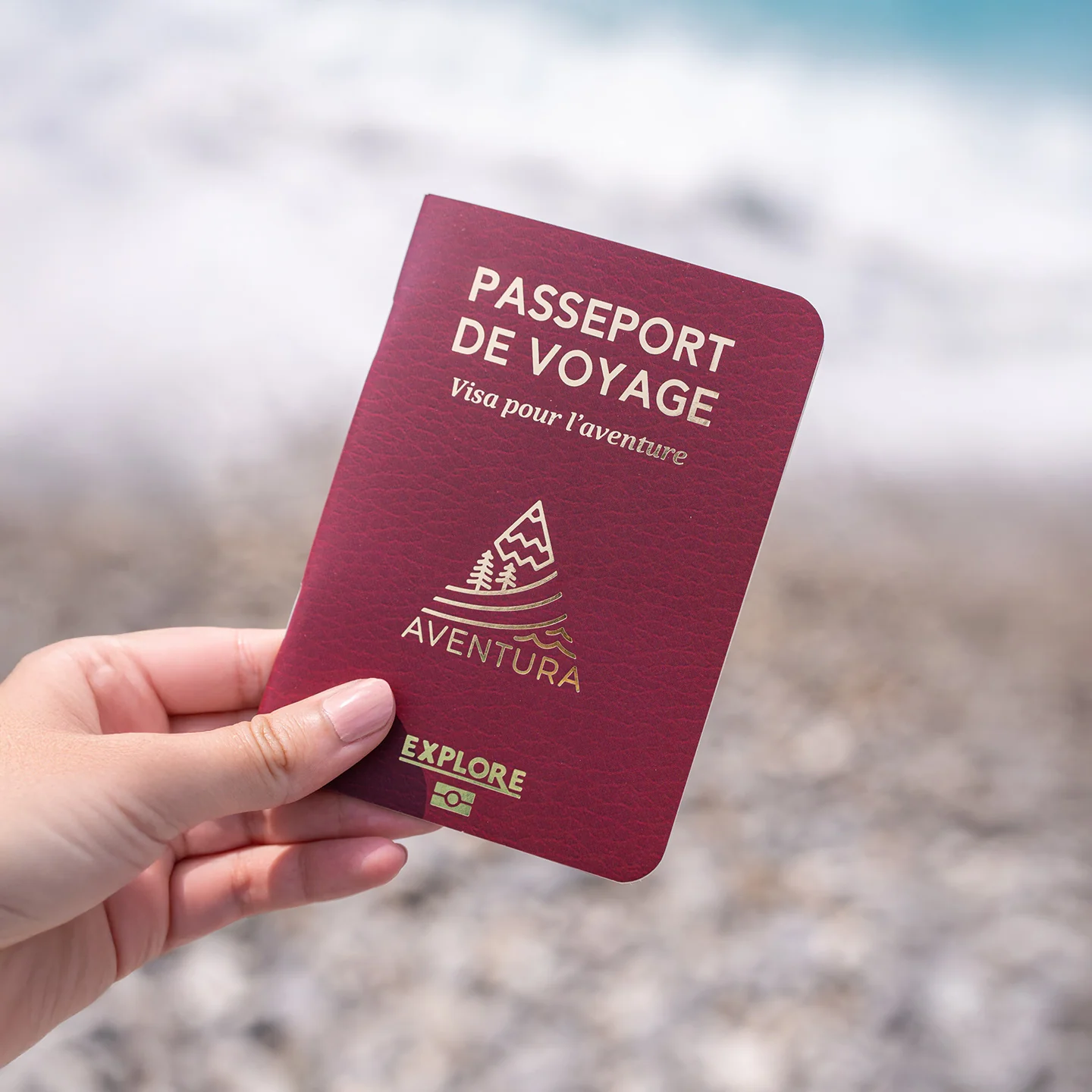 Passeport de voyage - Image 4