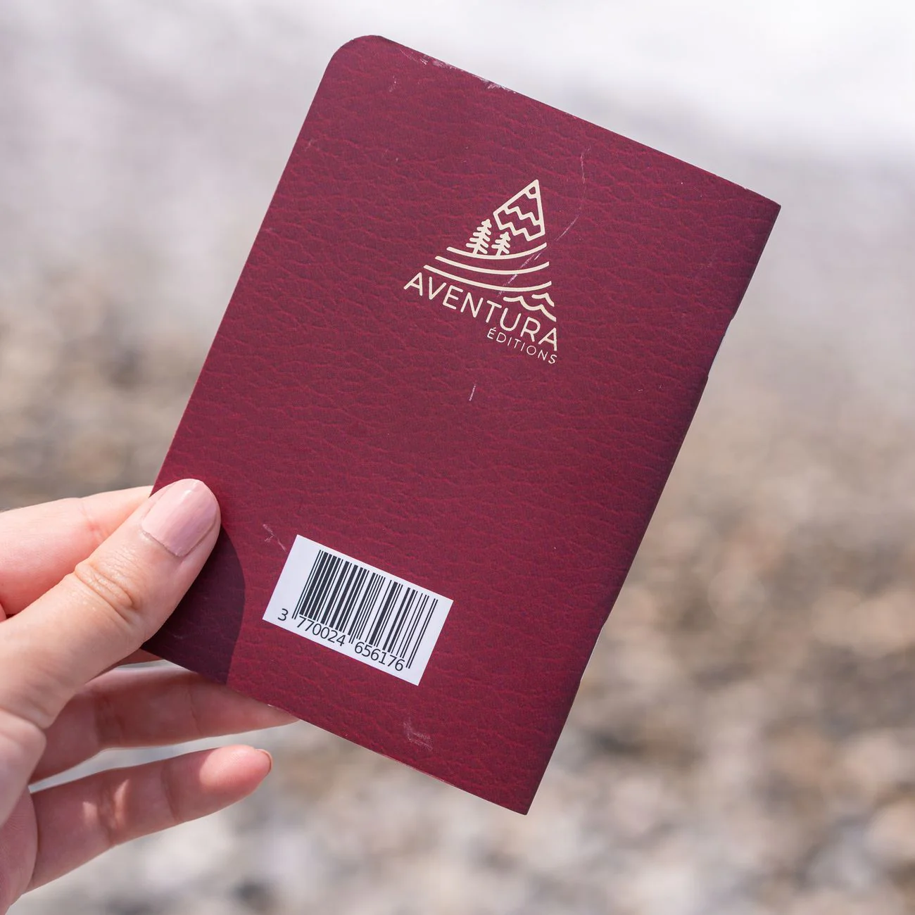 Passeport de voyage - Image 5